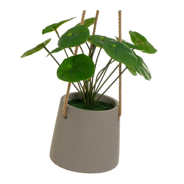 Umjetna biljka (visina 24 cm) Pilea – Casa Selección-image-2