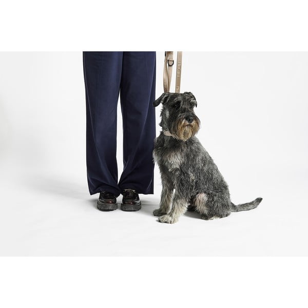 Bež ogrlica S/M dužina 32 cm Modena Greige S/SM – MiaCara-image-3