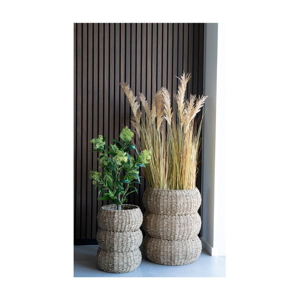 Umjetna biljka Skimmia - House Nordic-image-3