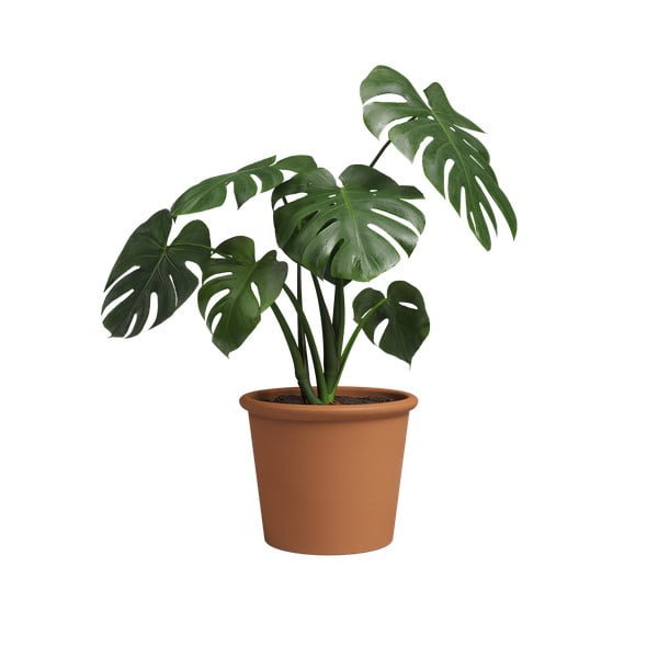 Tegla za cvijeće od terakote ø 39 cm Saramago Cilindro – Artevasi-image-3