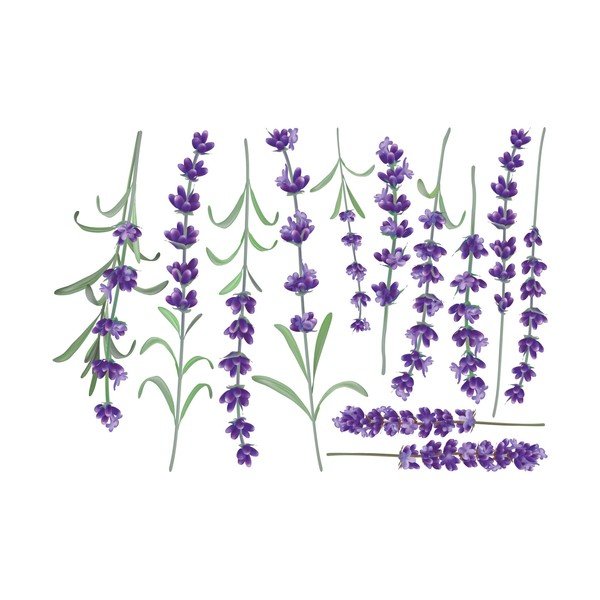 Set zidnih samoljepljivih naljepnica Ambiance Levanders-image-2