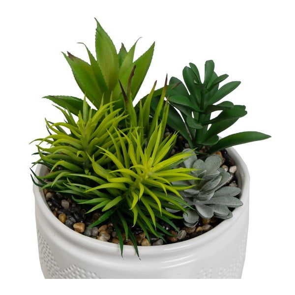 Umjetne biljke u setu 2 kom (visina 19 cm) Cactus – Casa Selección-image-2