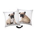 Dječji jastuk 40x40 cm Bulldog – Jerry Fabrics