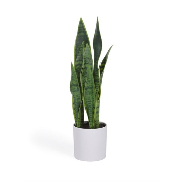 Umjetna biljka (visina 55 cm) Sansevieria – Kave Home
