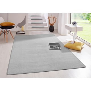 Svijetlo sivi tepih 200x280 cm Fancy – Hanse Home