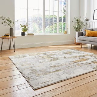Sivo-zlatni tepih 170x120 cm Apollo - Think Rugs