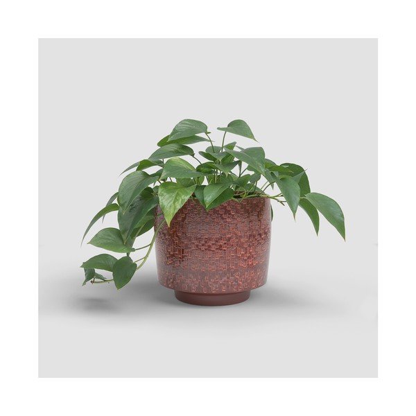 Keramička ručno rađena ukrasna tegla za cvijeće ø 21 cm Minerva – Artevasi-image-3