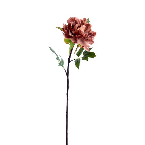 Umjetna biljka (visina 65 cm) Peonia – Light & Living