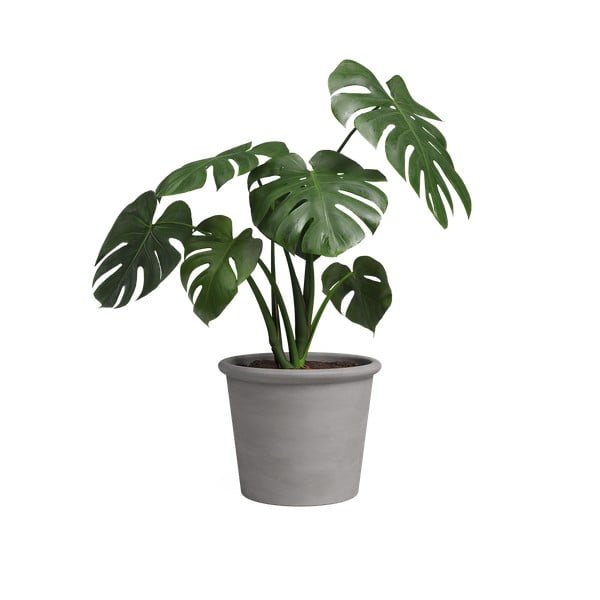 Tegla za cvijeće od terakote ø 18 cm Saramago Cilindro – Artevasi-image-1