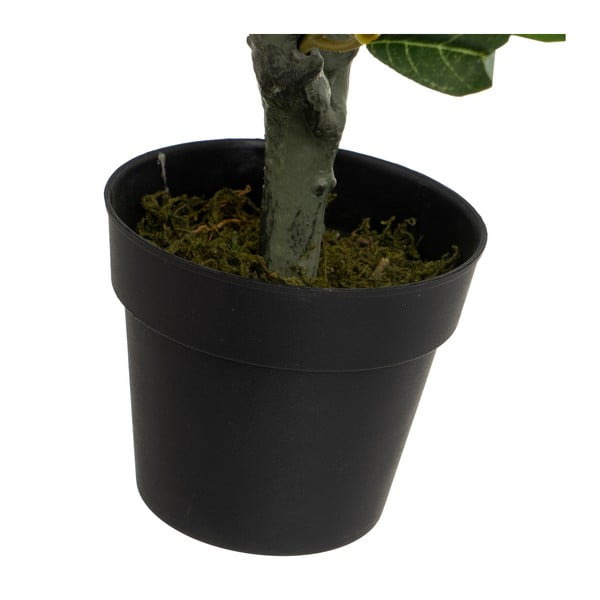 Umjetno drvo masline - Casa Selección-image-3