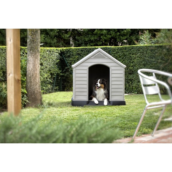 Siva mala kutija za pse 95x99 cm – Curver-image-2