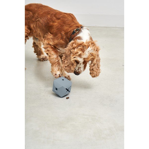 Igračka za psa Dado Sky – MiaCara-image-3