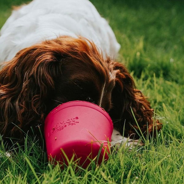 Posuda za lizanje Yoggie Pot Pink – LickiMat-image-1