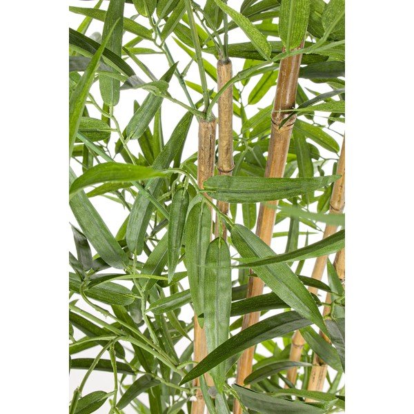 Umjetni bambus (visina 155 cm) Bamboo – Bizzotto-image-1