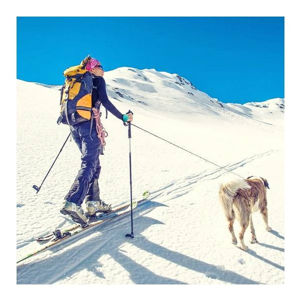 Plavi povodac M 3 Bungee – Lishinu-image-3