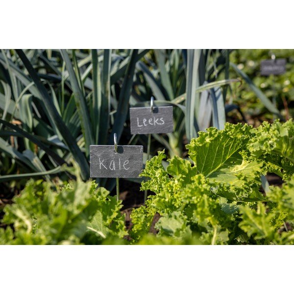 Tabelica od škriljca na štapiću Esschert Design-image-1