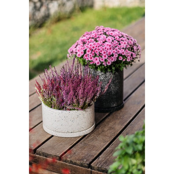 Tamno siva tegla Bonami Selection Terrazzo, ø 34 cm-image-1