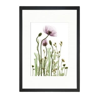 Slika Tablo Center Scented Flowery, 24 x 29 cm