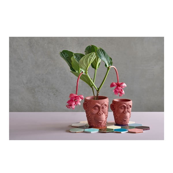 Crvena posuda za cvijeće Villa Collection Calbe, visina 22,5 cm-image-3