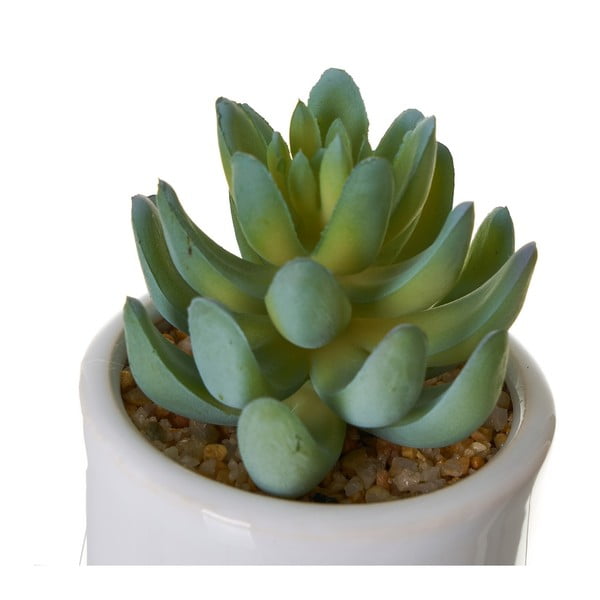 Umjetne biljke u setu 4 kom Cactus – Casa Selección-image-2