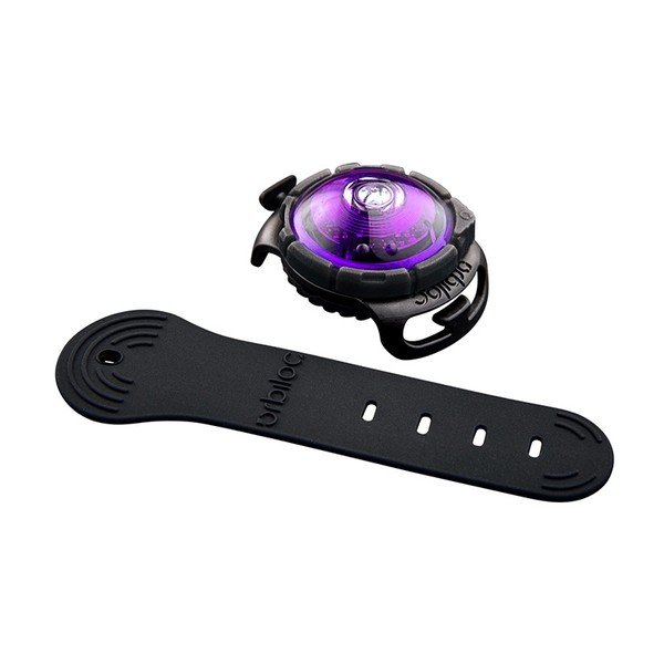 LED svjetlo za ovratnik Purple - Orbiloc-image-1