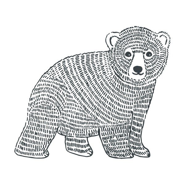 Dječja naljepnica 47x40 cm Bear – Lilipinso