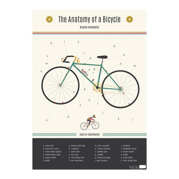 Zidni poster Rex London Anatomy Of a Bicycle
