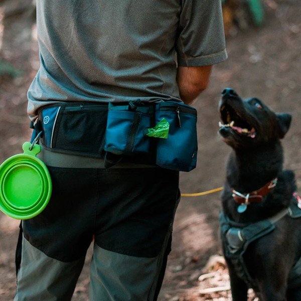 Pojas za psa Explorer Pack Waterfall - P.L.A.Y.-image-3