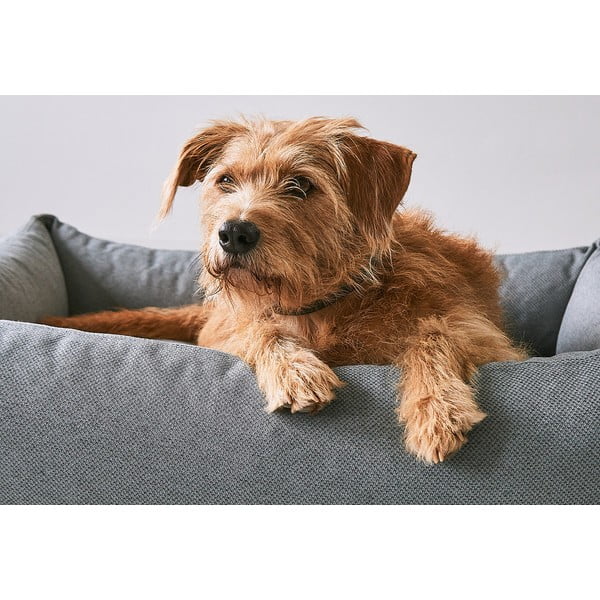 Smeđi krevet za pse 93x120 cm Mare Kelp L – MiaCara-image-2