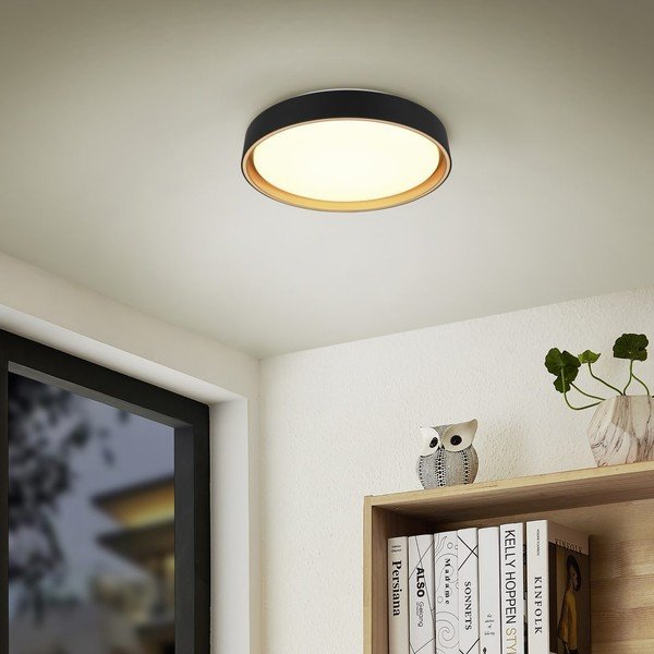 Crna LED stropna svjetiljka ø 40 cm Felis – Reality-image-1