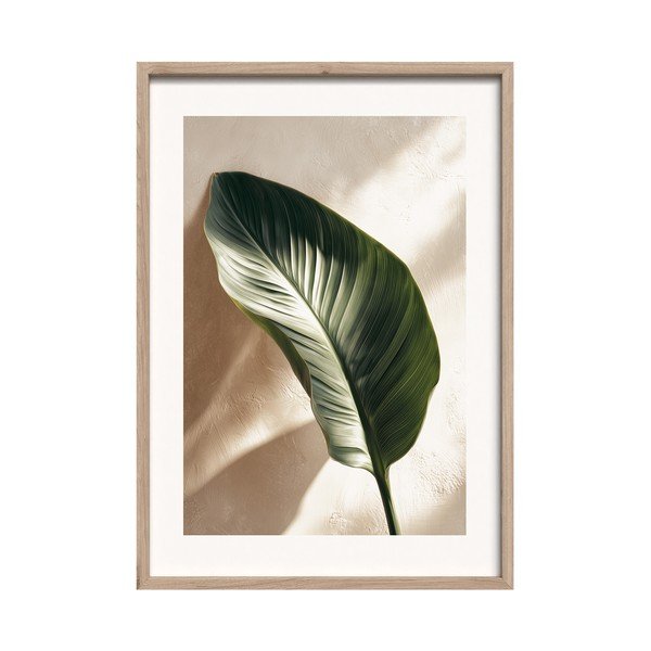 Tiskana slika s okvirom 50x70 cm Strelizia Leaf – Styler