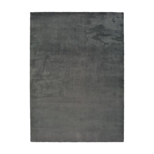 Tamno sivi tepih Universal Berna Liso, 190 x 290 cm