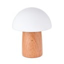 Prigušiva stolna svjetiljka u prirodnoj boji sa staklenim sjenilom (visina 32 cm) Alice - Gingko