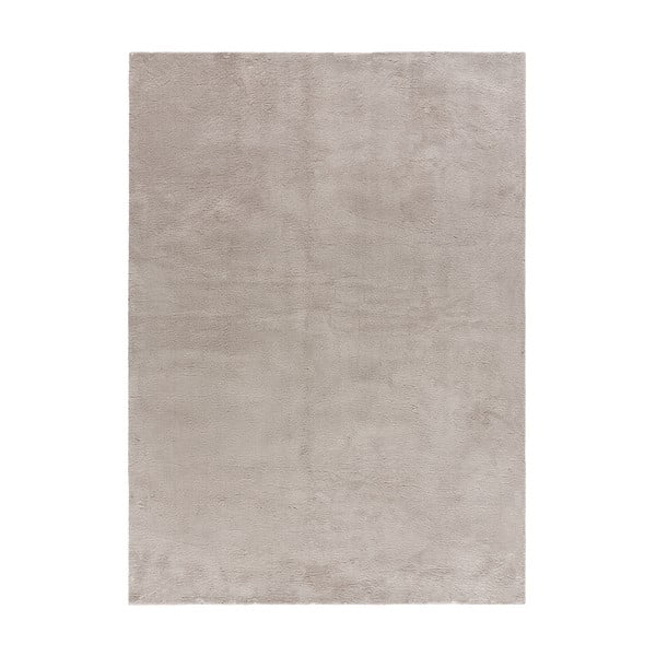 Svijetlo sivi tepih 60x120 cm Loft - Universal