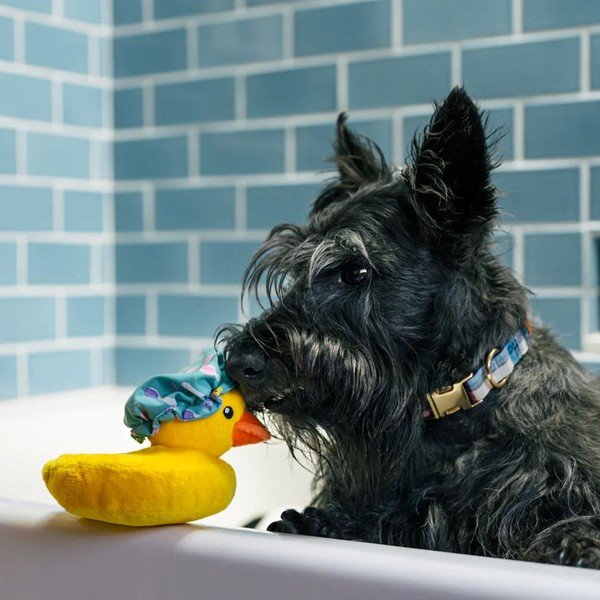 Igračka za psa Duck – P.L.A.Y.-image-1