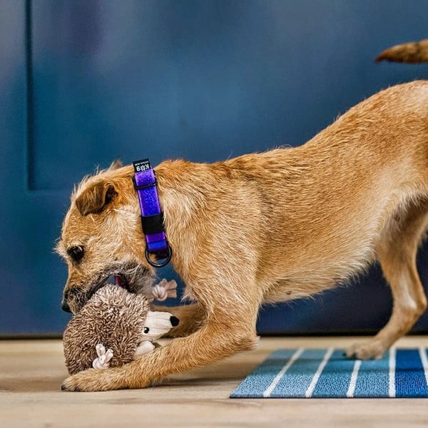 Igračka za psa Hedgehog – P.L.A.Y.-image-2