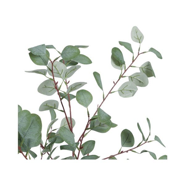 Umjetni eukaliptus (visina 180 cm) Eucalyptus – Ixia-image-2