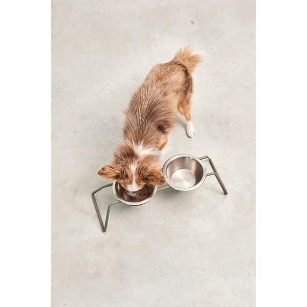 Set posuda s postoljem od nehrđajućeg čelika za pse Cena Grollive M – MiaCara-image-2