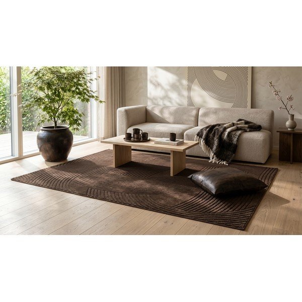Smeđi tepih 120x170 cm Zephyr – ESTE-image-4