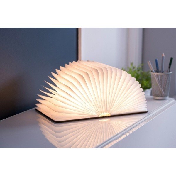 Smeđi svjetlosni ukras s USB Booklight – Gingko-image-3