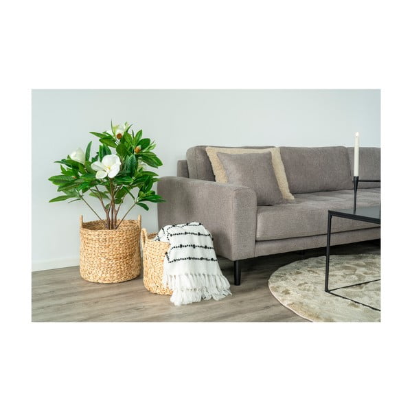 Košare u setu 2 kom od vodenog zumbula ø 35x37 cm Passo – House Nordic-image-1