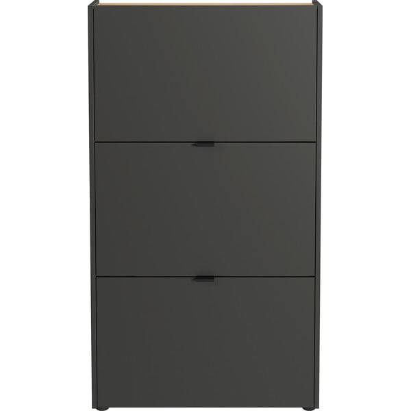 Antracitno sivi set za hodnik 101x200x22 cm Ameca – Germania-image-4