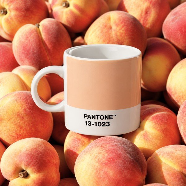 Porculanska šalica za espresso boja breskve 120 ml Peach Fuzz 13-1023 – Pantone-image-1