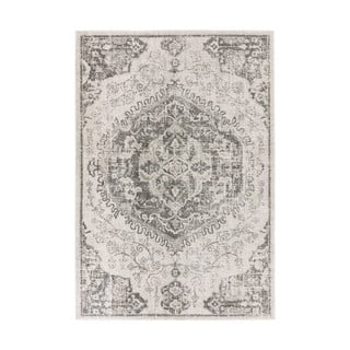 Sivi/krem tepih 160x230 cm Nova – Asiatic Carpets