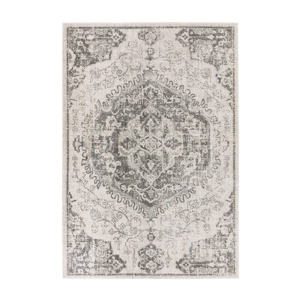Sivi/krem tepih 200x290 cm Nova – Asiatic Carpets