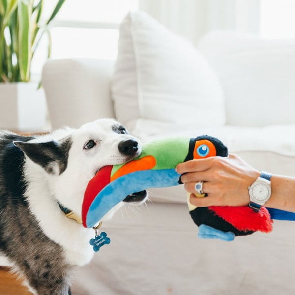 Igračka za psa Tukan - P.L.A.Y.-image-1
