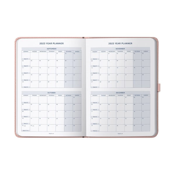 Dnevnik - Busy B-image-3