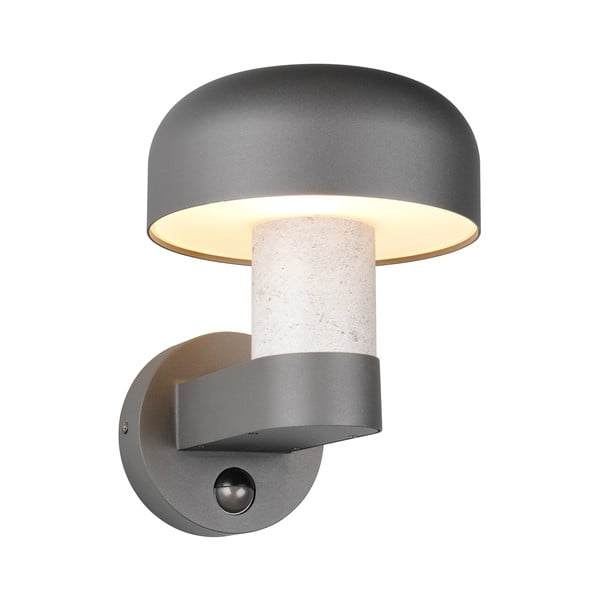 Zidna vanjska svjetiljka (visina 24,5 cm) Fraser – Trio-image-3