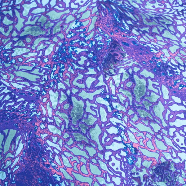 Plava pamučna dječja posteljina za krevet za jednu osobu 140x200 cm How To Train Your Dragon – Jerry Fabrics-image-4