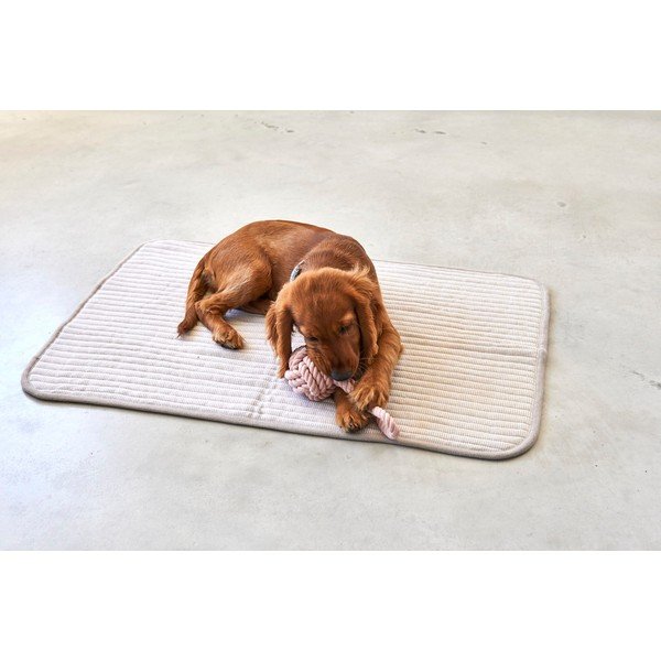 Bež pamučna deka za pse 90x120 cm Onda Greige L – MiaCara-image-3